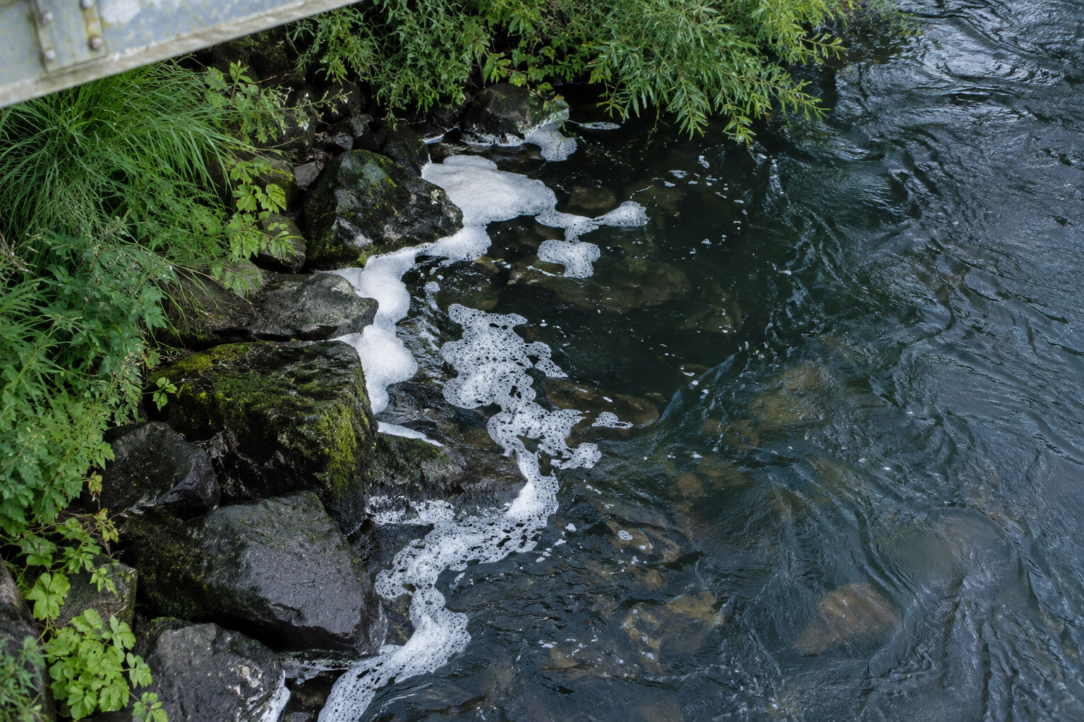 Illustrative demo image of foam beside a stream